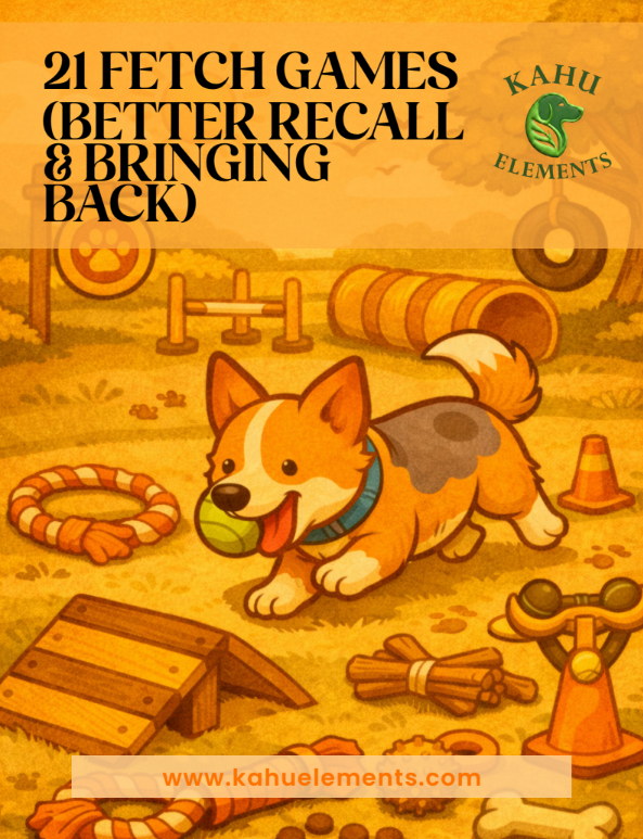 21 Fetch Games