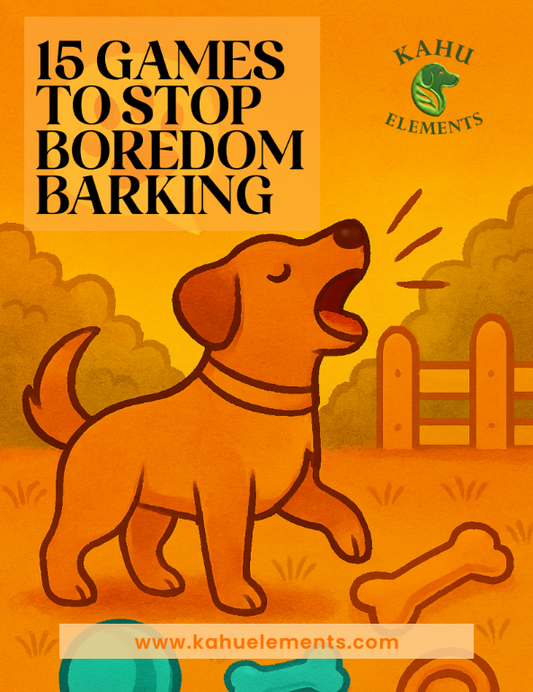15 Games to Stop Bordom Barking
