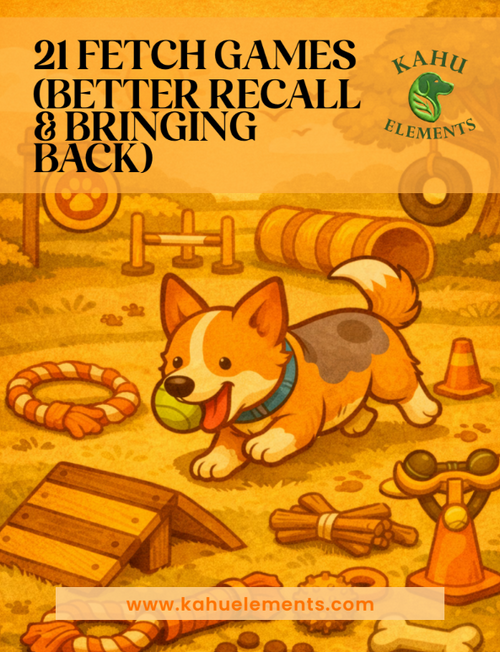 21 Fetch Games