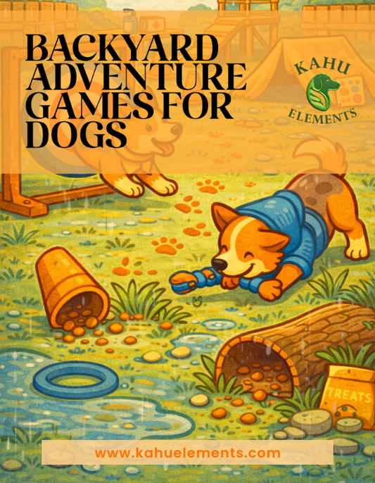 Backyard Adventure Games for Dogs