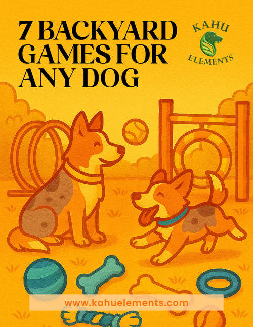 7 Backyard Games for Any Dog