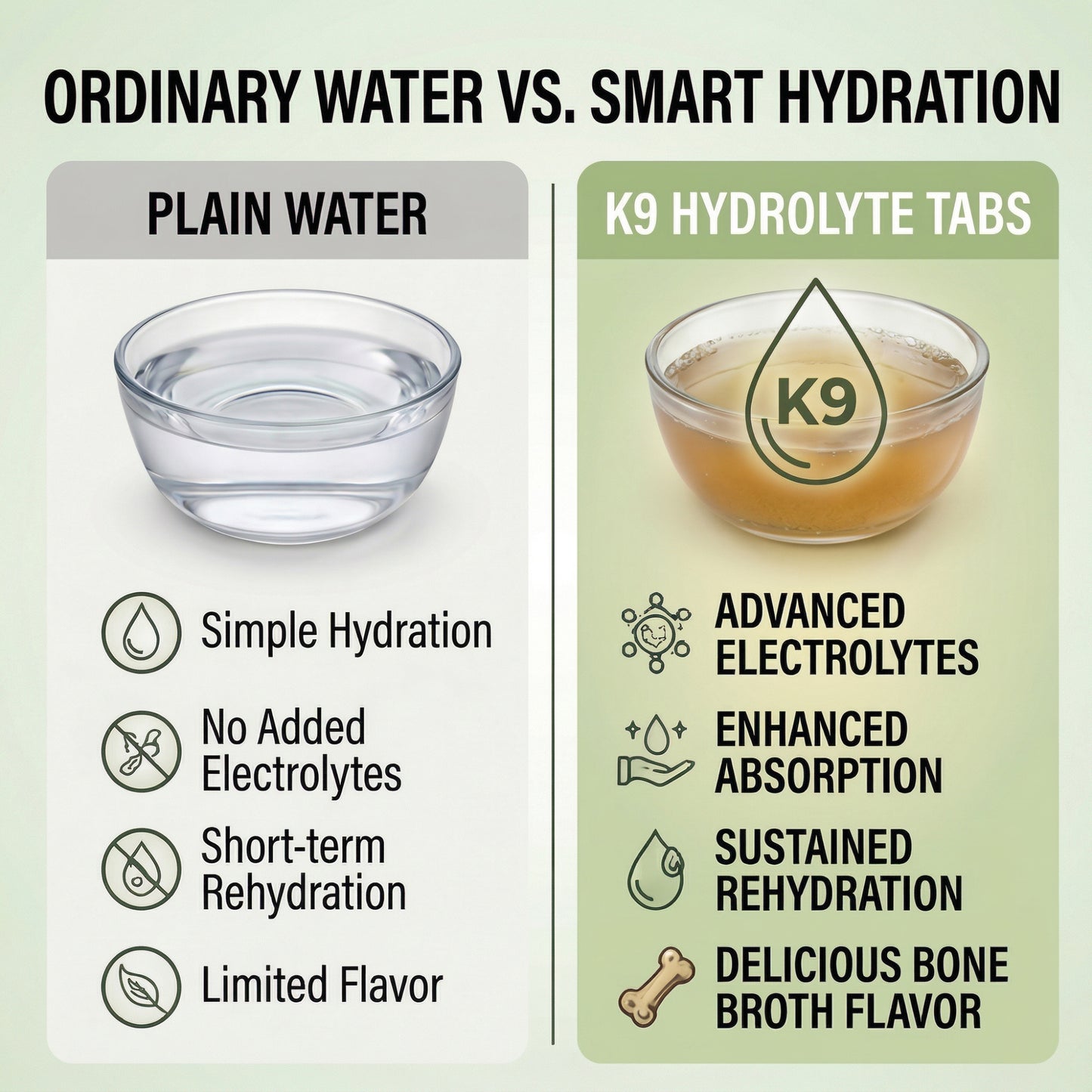K9 HydroLyte Tabs