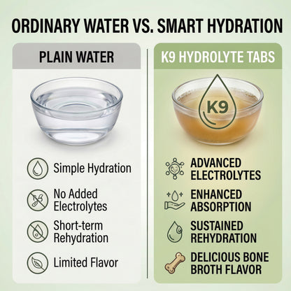 K9 HydroLyte Tabs