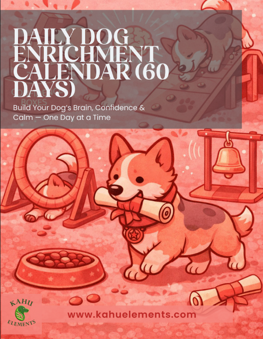 Daily Dog Enrichent Calendar