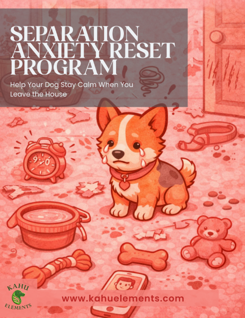 Separation Anxiety Reset Program