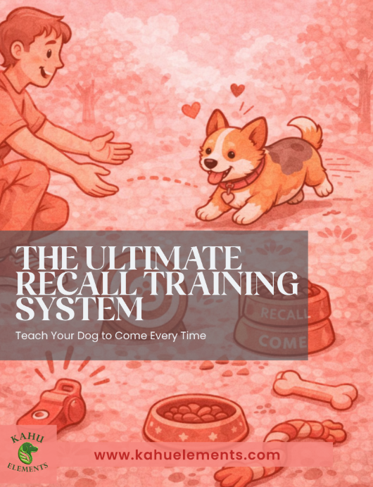 Ultimate Recall Training