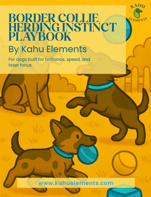 BORDER COLLIE HERDING INSTINCT PLAYBOOK